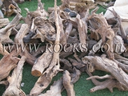 שורשים וגזעים לגינה