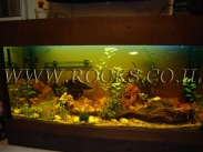 גזעים ושורשים לאקווריום.