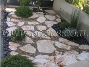 אבן דריכה פראית מנוסרת   