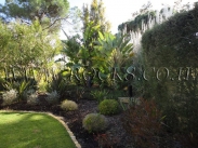 אבן תיחום גילה מסותתת