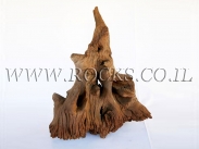 גזעים ושורשים לאקווריום.