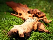 שורשים וגזעים לגינה