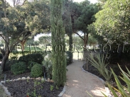 אבן תיחום גילה מסותתת