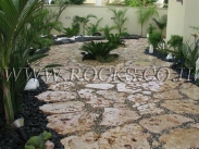 אבן דריכה פראית מנוסרת   