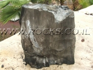 גזע מאובן בצבע שחור