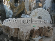 פלטה מנוסרת מגזע מאובן